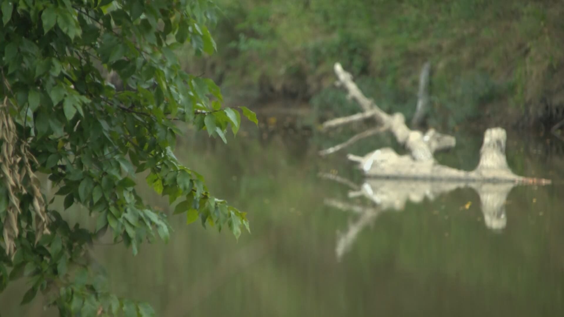 Oklahoma bill would designate four southeast rivers as scenic waterways