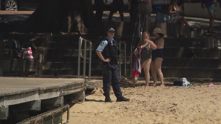 Two sharks were reportedly spotted swimming in the netted zone. 