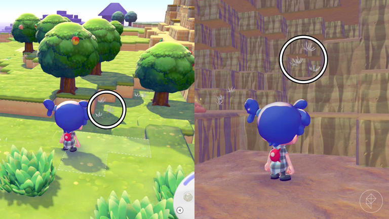 Pokémon Pokopia 'More spores for Hoppip!' event guide