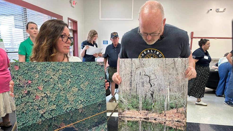 Central Virginia residents raise concerns over proposed $1B power line ...