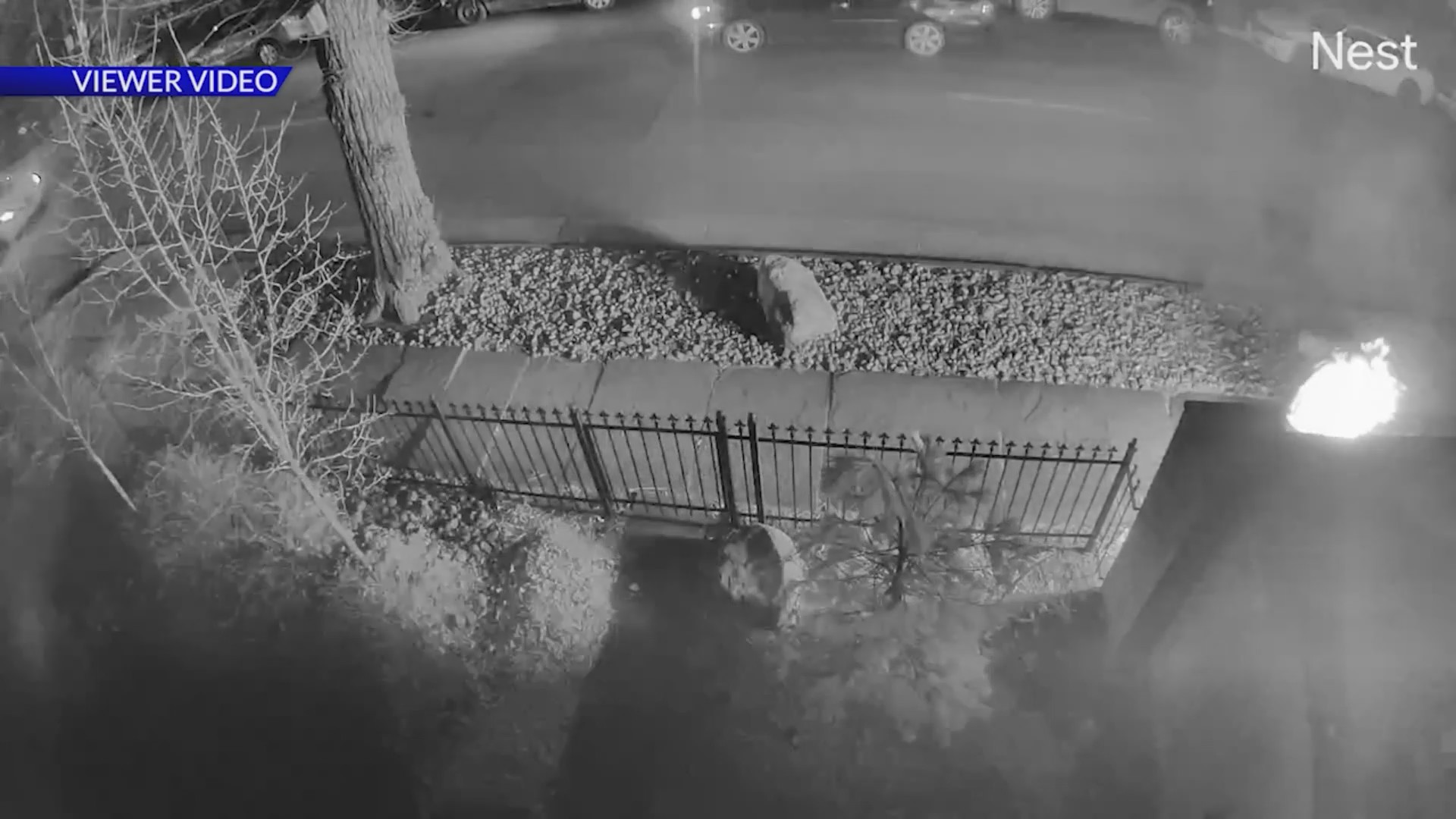 Denver resident on edge after surveillance video shows man setting fire ...