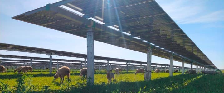India's solar manufacturers slapped with 126% US tariff