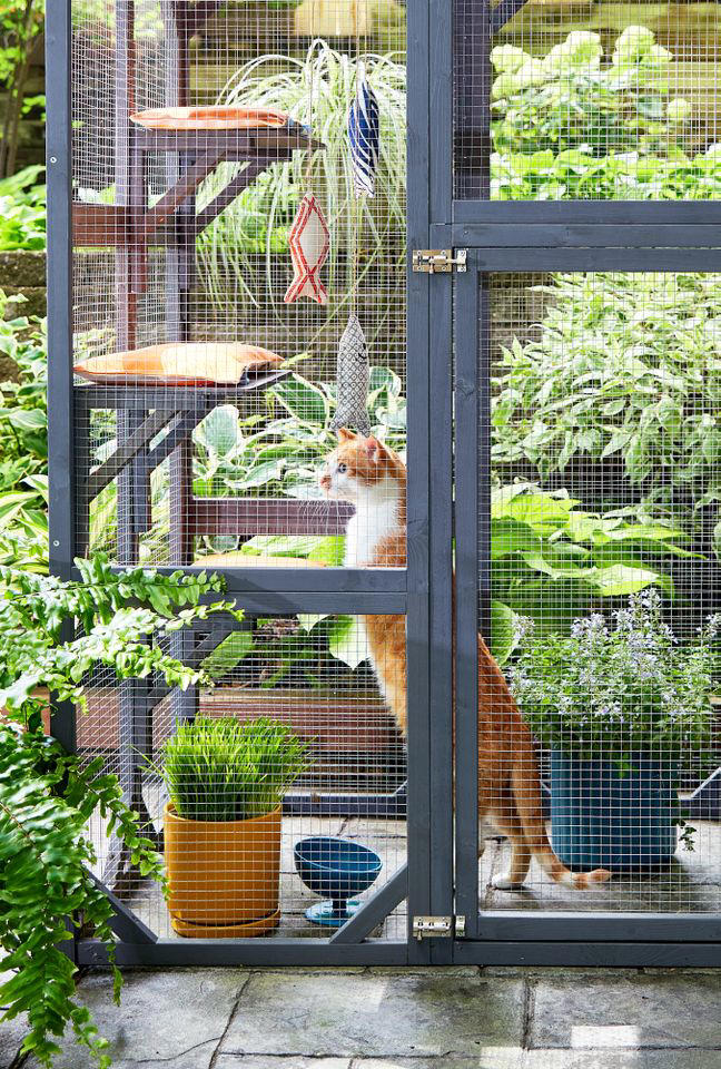 7 must-have catio upgrades your feline friend will thank you for