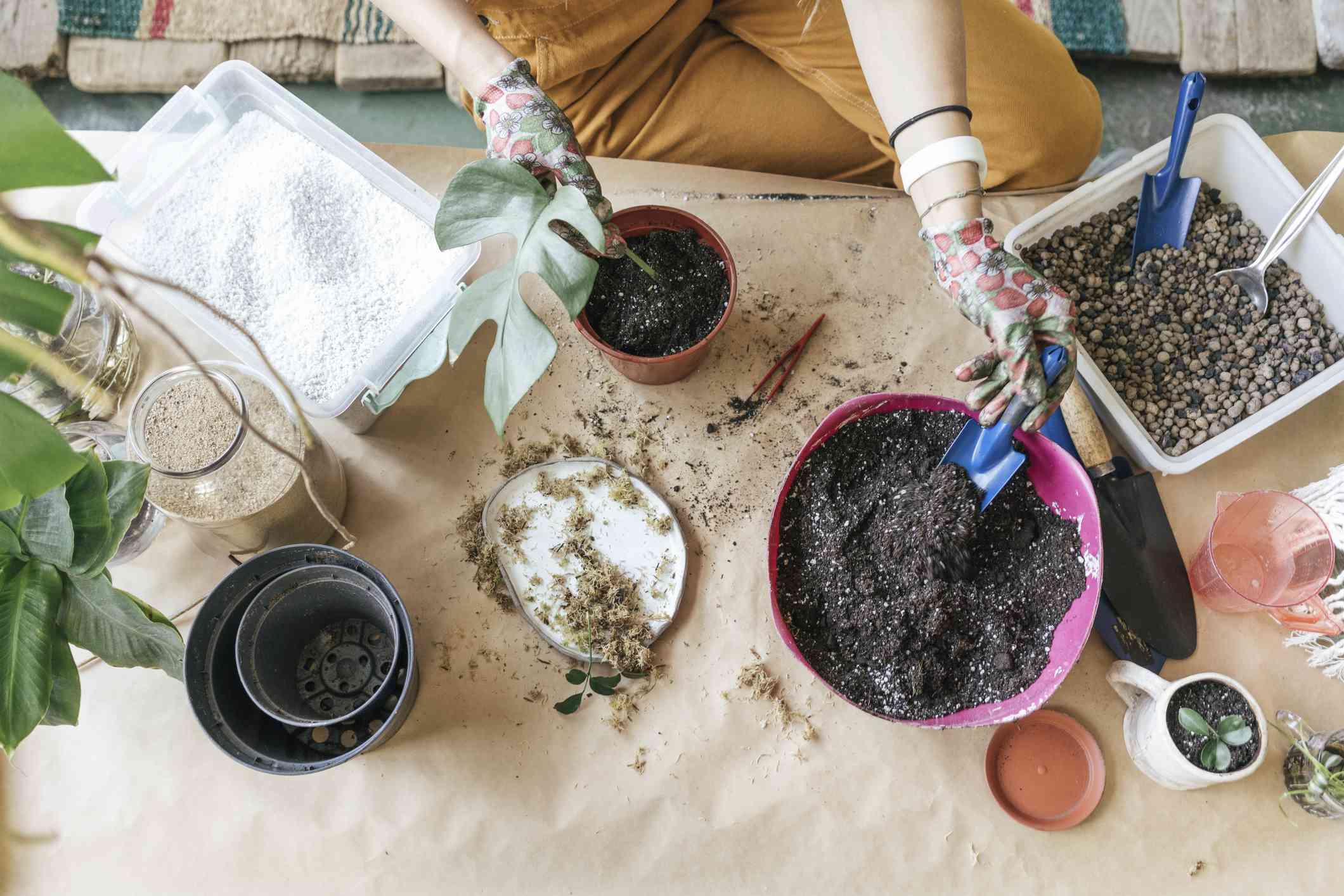 The best kind of soil for indoor plants isn’t garden soil—what experts ...