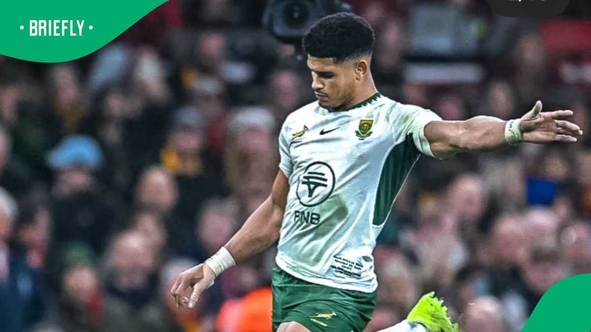 Malcolm Marx wins SA Rugby Player of the Year while Sacha Feinberg ...