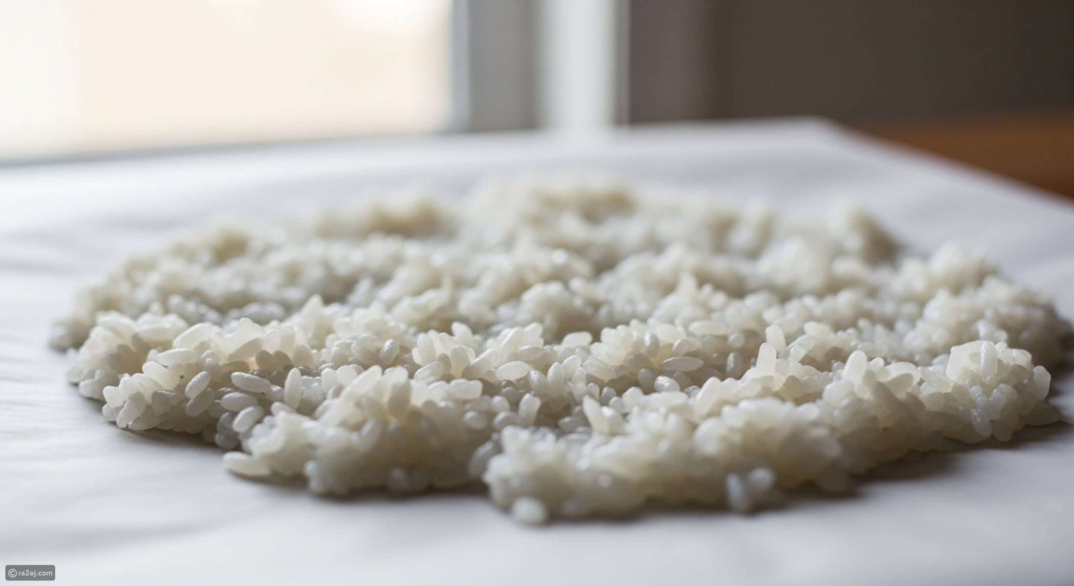 Sushi made simple: A home cook’s complete guide