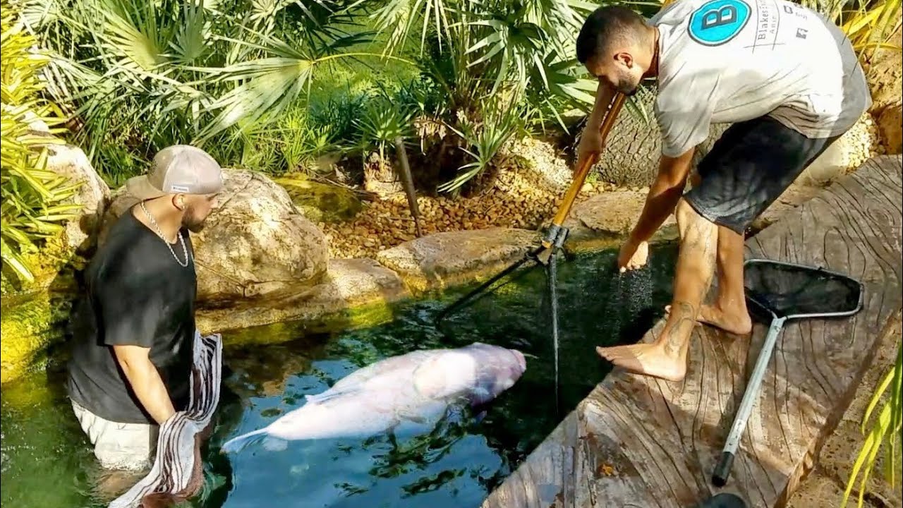This albino pond monster was hidden in a mansion