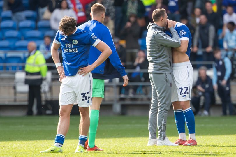 Staggering Cardiff City player wages revealed as relegation shakes club ...
