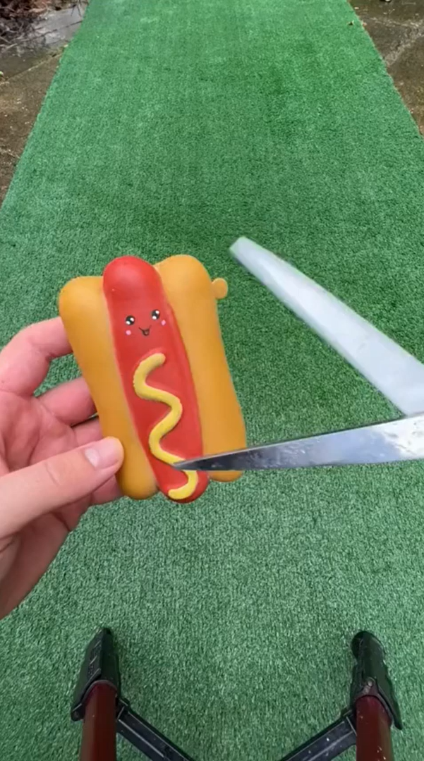 A hotdog flooded my garden and I regret it