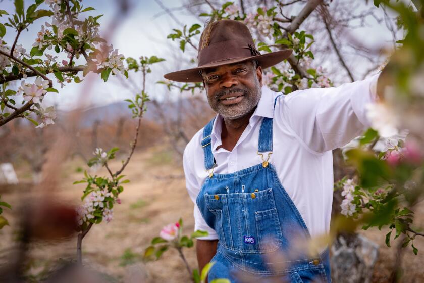 At LA County's largest Black-owned farm, healing grows from the ground up