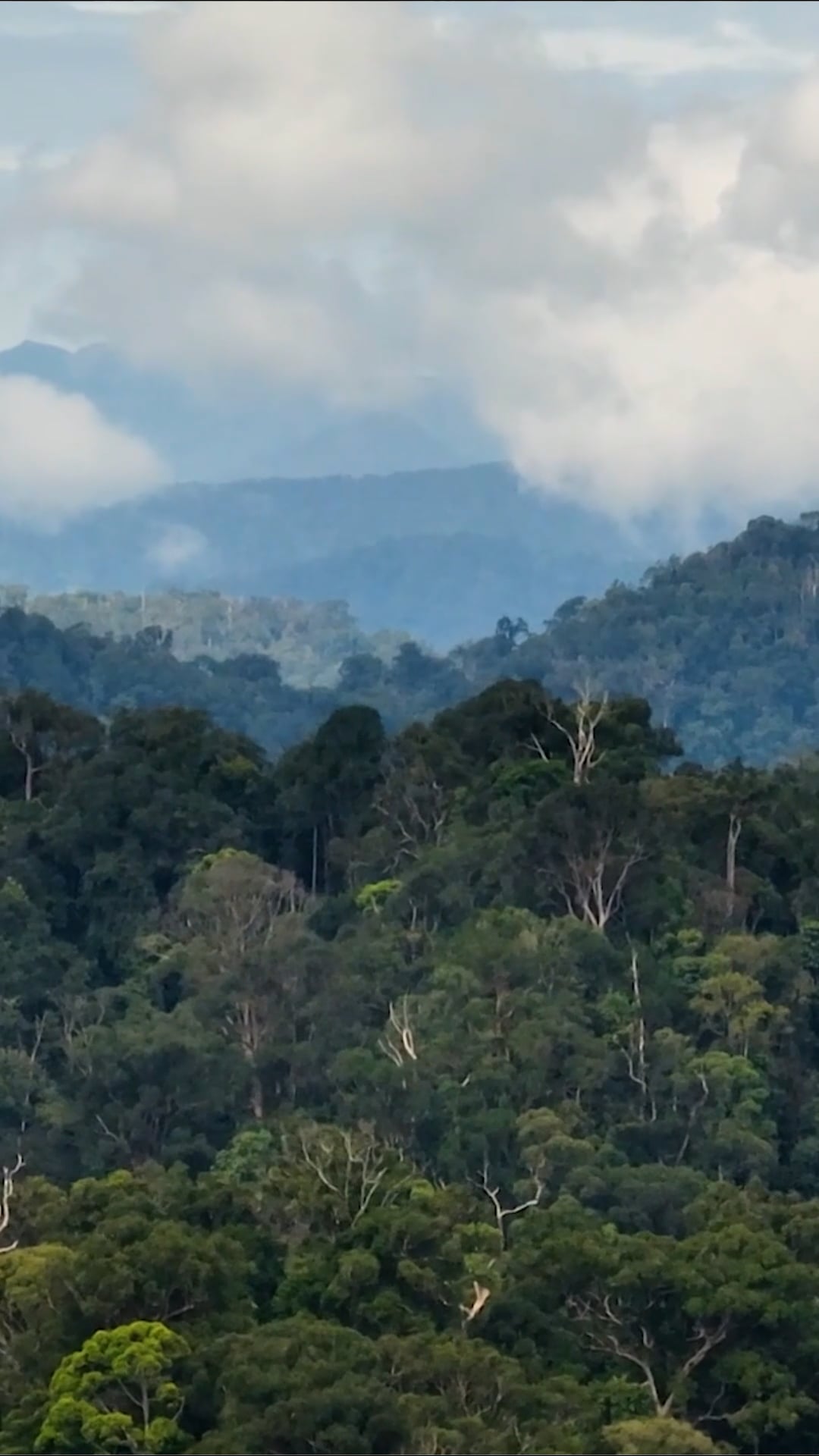 Sumatra, Indonesia: Drone discovers the island of natural wonders