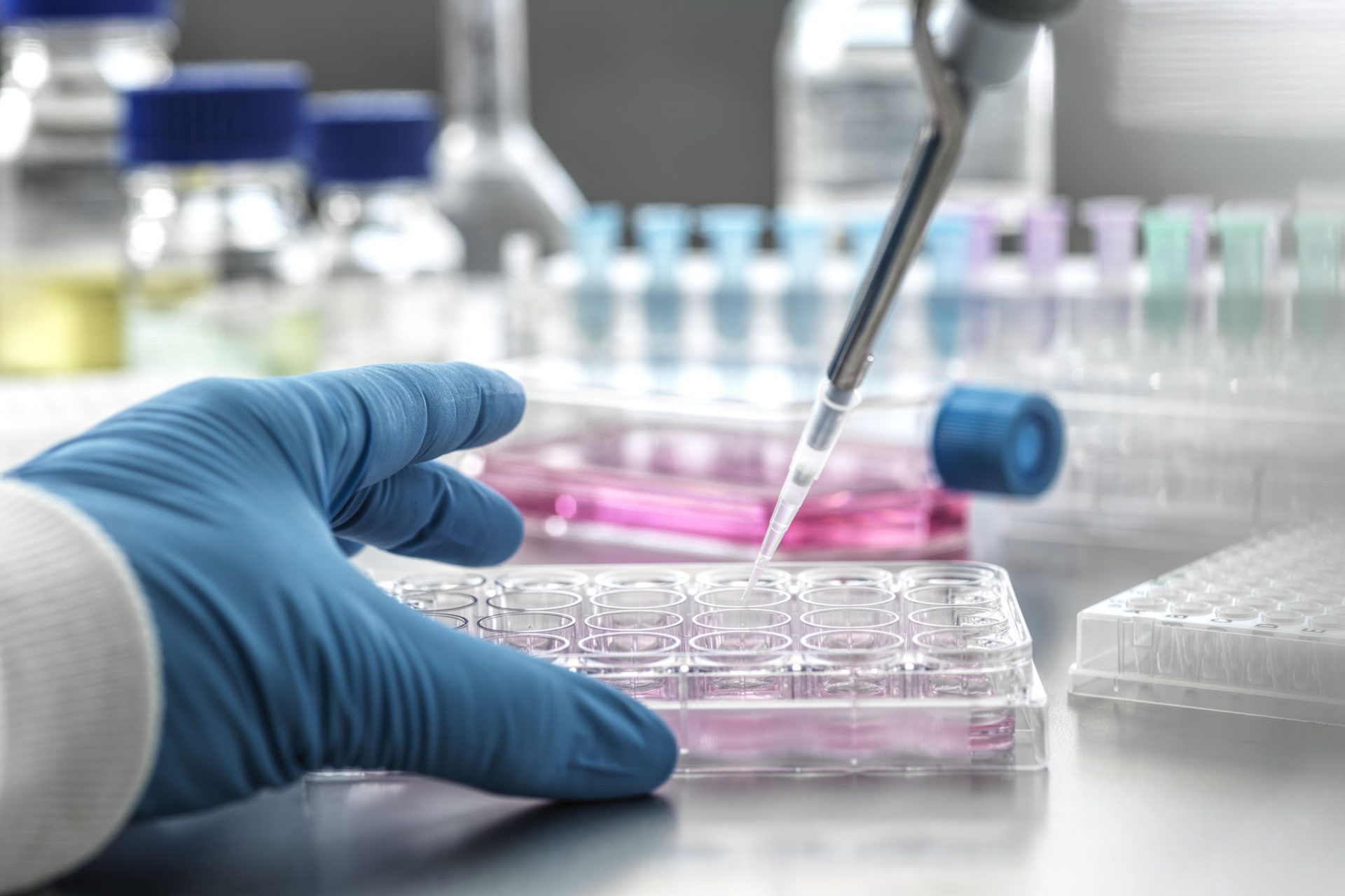 Een grote uitdaging voor de biologische fysica