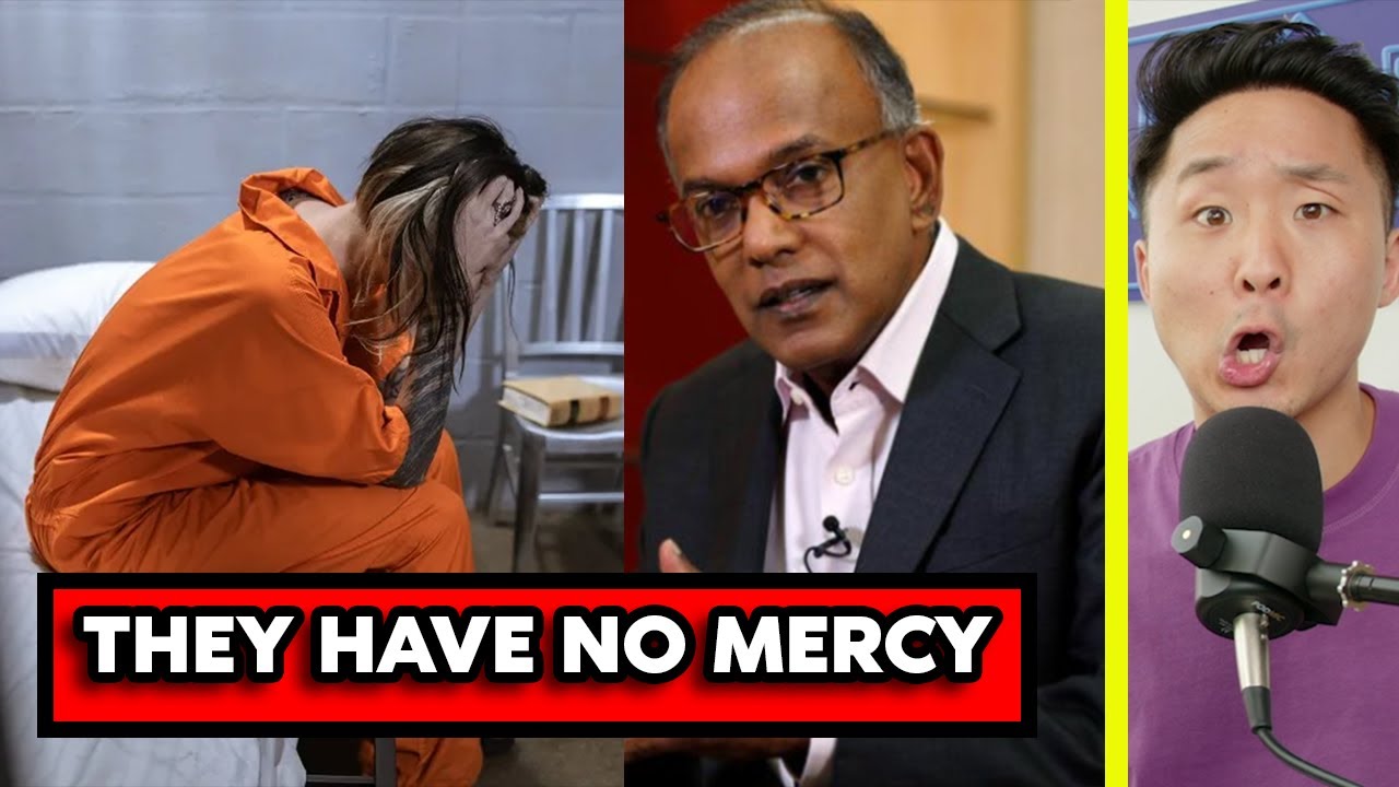 Legal experts debate if America should adopt strict Singaporean laws