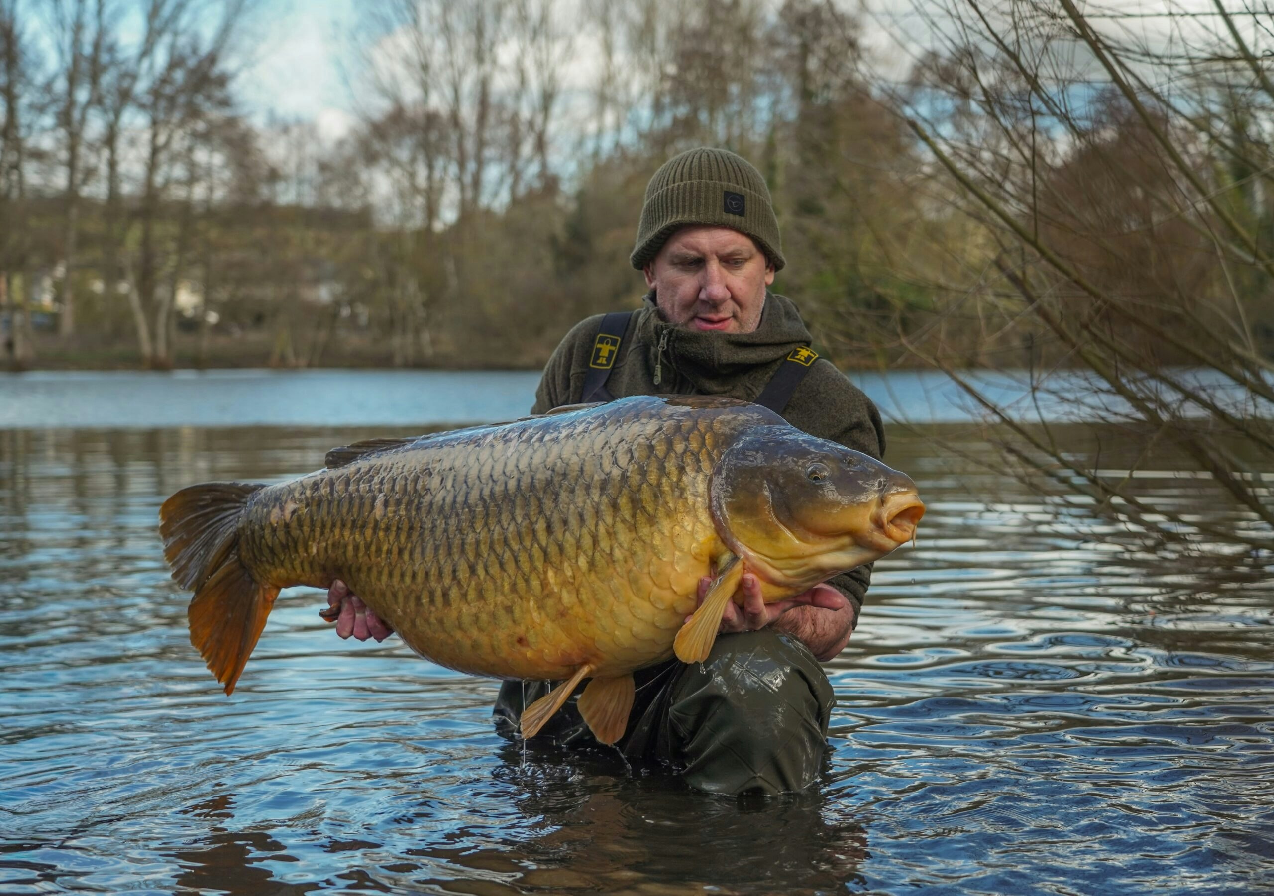 The UK’s biggest common carp banked