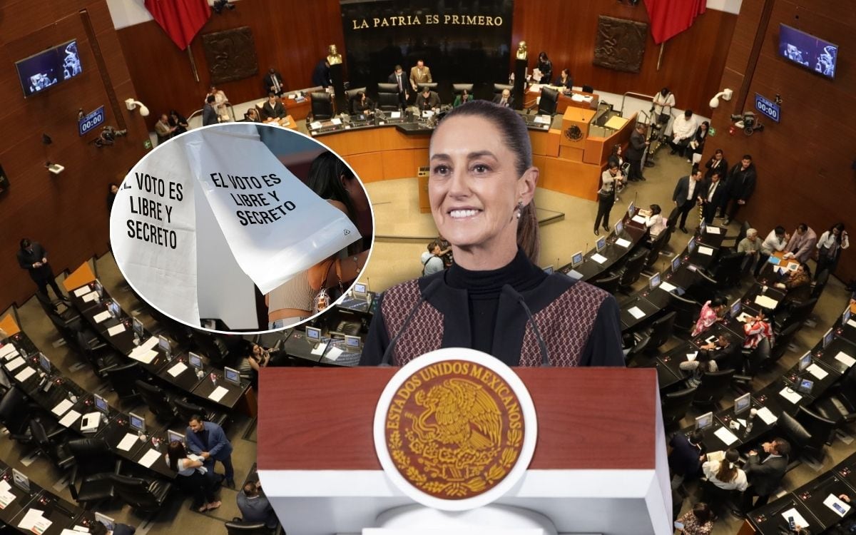 Aún con el plan B de la reforma electoral impulsada por Sheinbaum, PT y ...