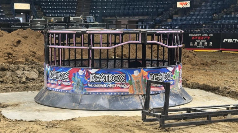 The bulls are bucking into Covelli this weekend