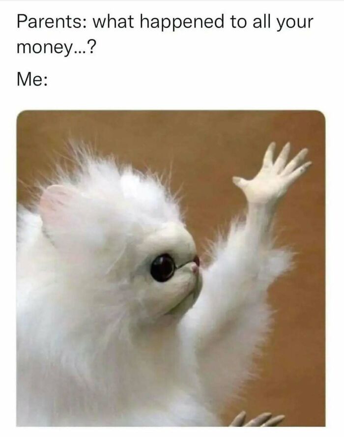 95 Memes That Prove Humor Makes Life’s Chaos Easier To Handle