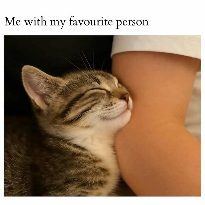 95 Memes That Prove Humor Makes Life’s Chaos Easier To Handle