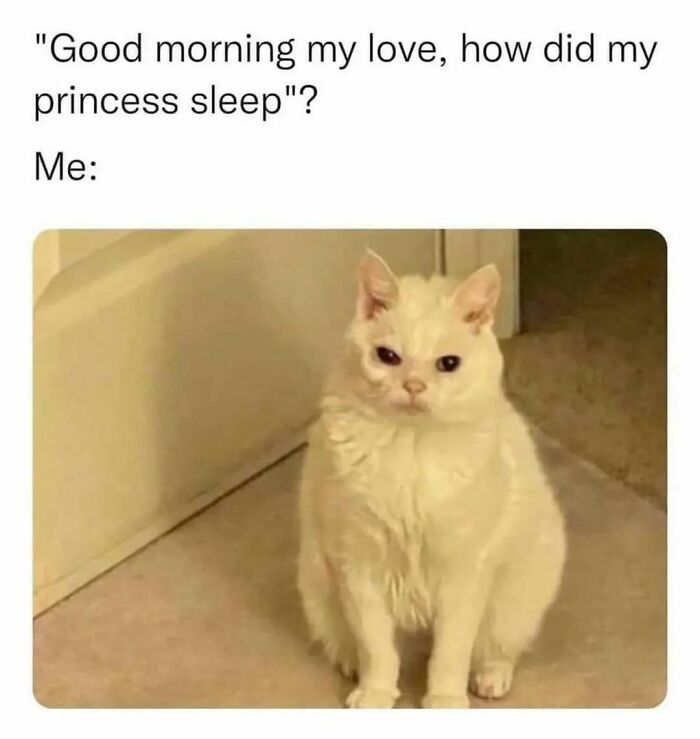 95 Memes That Prove Humor Makes Life’s Chaos Easier To Handle