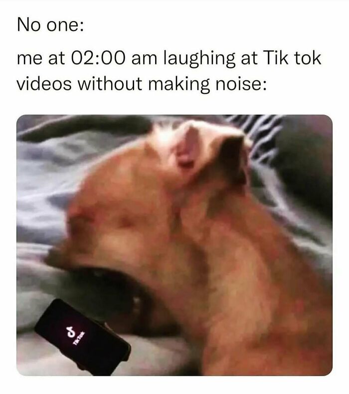 95 Memes That Prove Humor Makes Life’s Chaos Easier To Handle