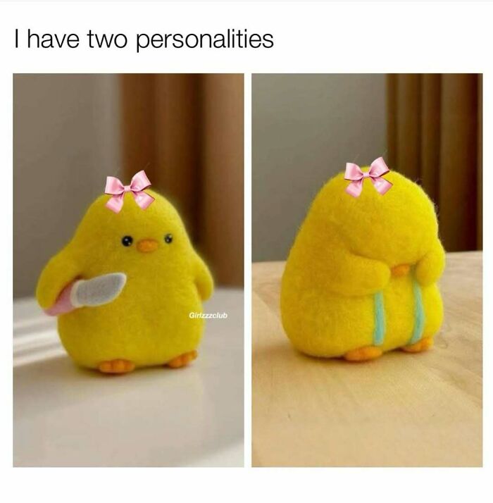95 Memes That Prove Humor Makes Life’s Chaos Easier To Handle