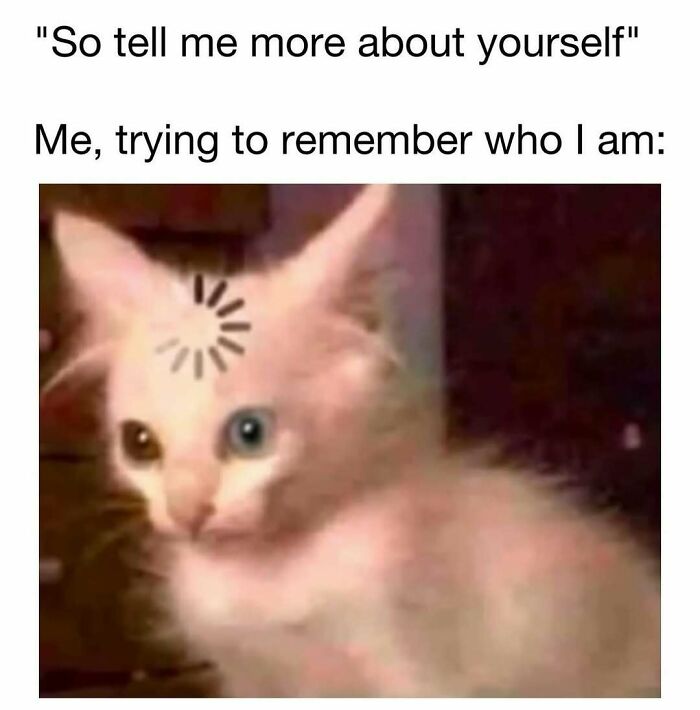 95 Memes That Prove Humor Makes Life’s Chaos Easier To Handle