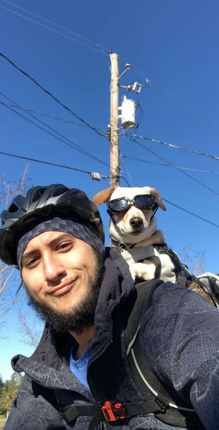 30 dogs wearing goggles that might just make your day, as shared on ...