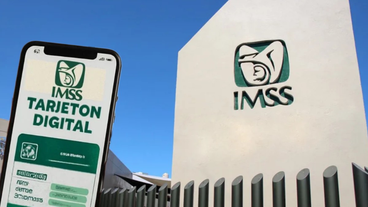 Paso a paso. Qué es el tarjetón digital del IMSS y cómo tramitarlo ...