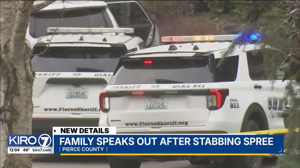Video: Family speaks out after stabbing spree