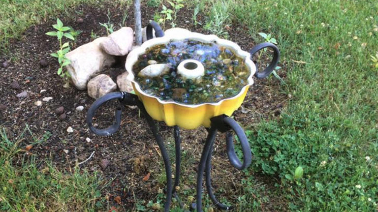 13 kitchen items you can turn into DIY bird feeders