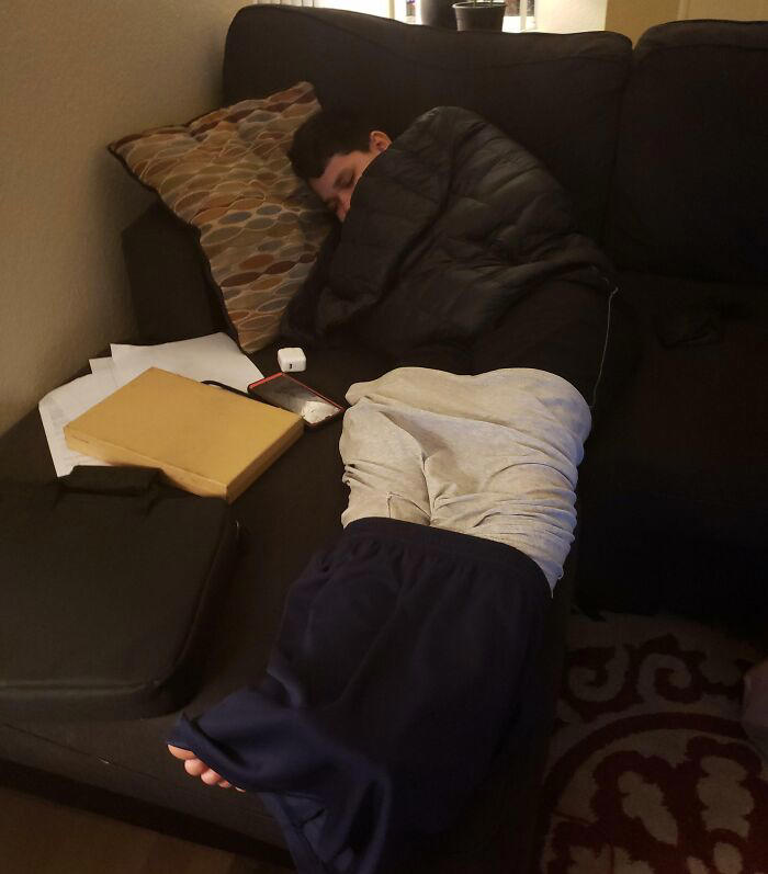 These 54 lazy moments started small but quickly got out of hand