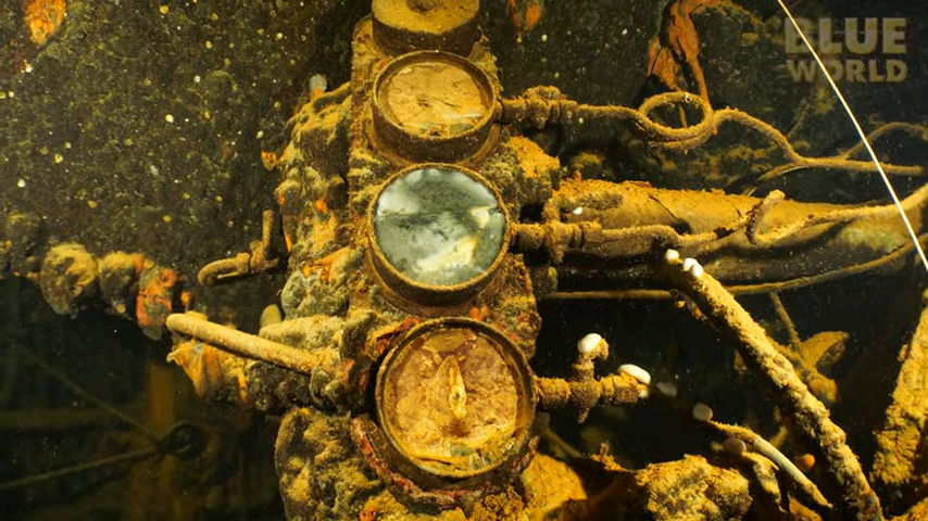 Inside the WWII wreck, their lights revealed something unbelievable