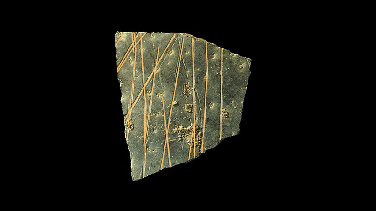 Oldest human-made geometric designs found on 60,000-year-old ostrich ...