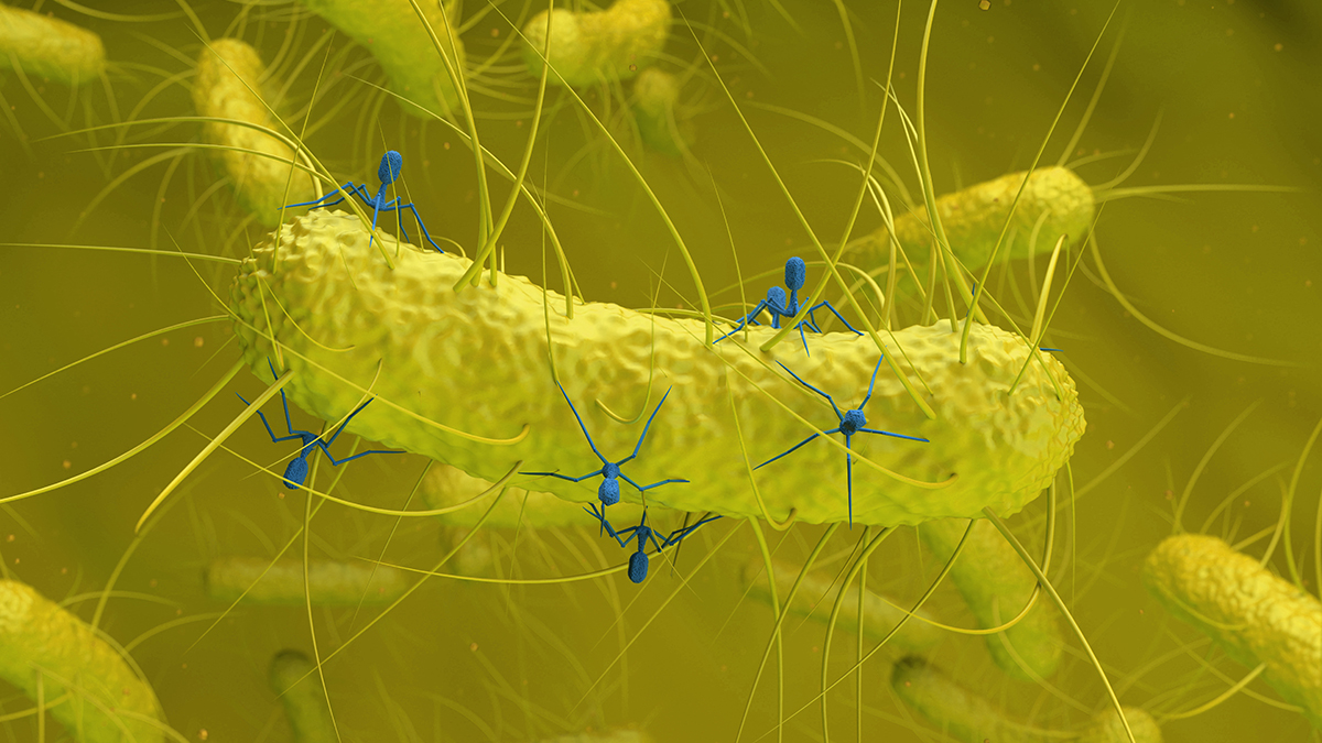Hidden virus found in gut bacteria is linked to colorectal cancer