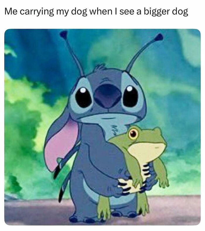 95 Memes That Prove Humor Makes Life’s Chaos Easier To Handle