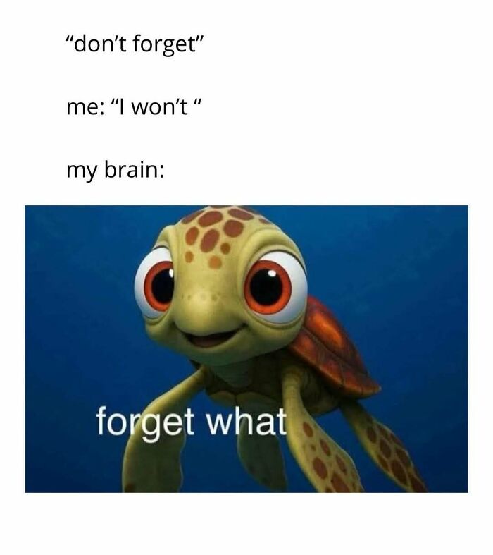 95 Memes That Prove Humor Makes Life’s Chaos Easier To Handle