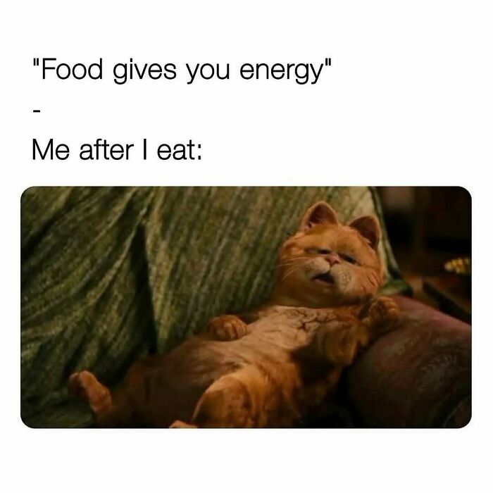 95 Memes That Prove Humor Makes Life’s Chaos Easier To Handle