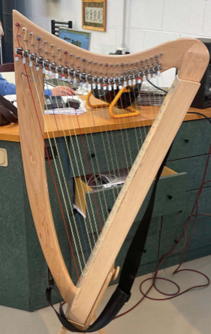 L’arpista Martina Natuzzi derubata al Tuscolano: la sua famosa arpa celtica sparita in pochi minuti con la tecnica jammer (FOTO)