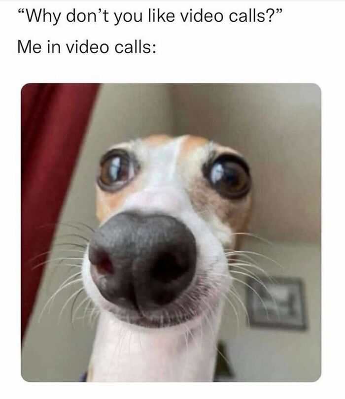 95 Memes That Prove Humor Makes Life’s Chaos Easier To Handle