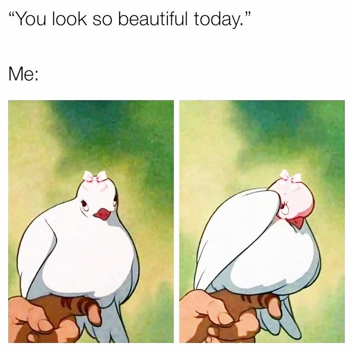 95 Memes That Prove Humor Makes Life’s Chaos Easier To Handle
