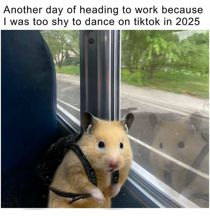 95 Memes That Prove Humor Makes Life’s Chaos Easier To Handle