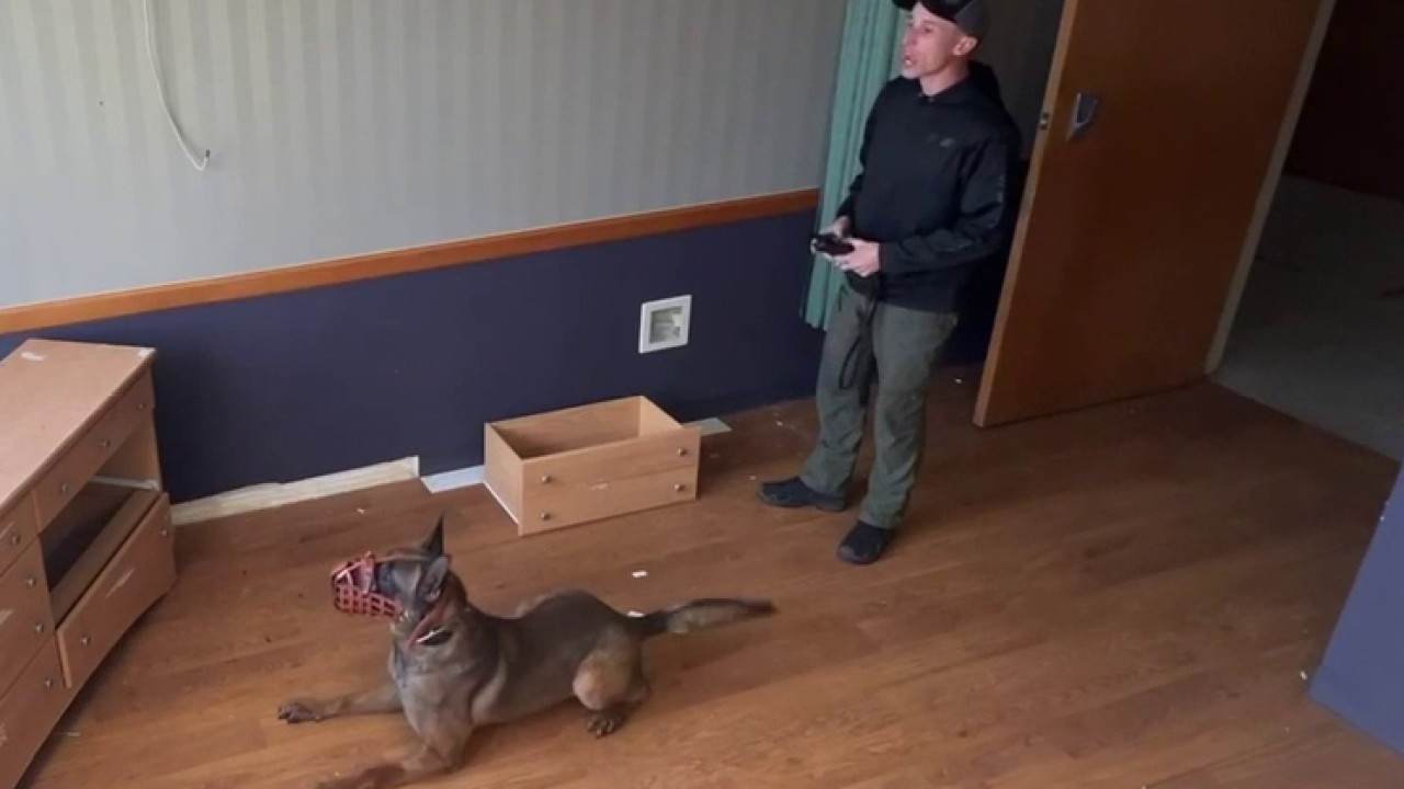Coweta County K9 hit by car during high-speed chase returns to full duty