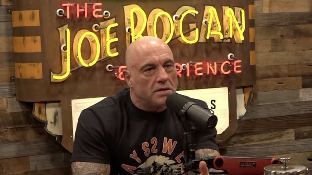Joe Rogan corners RFK Jr. on Trump’s ‘disturbing’ ICE raids