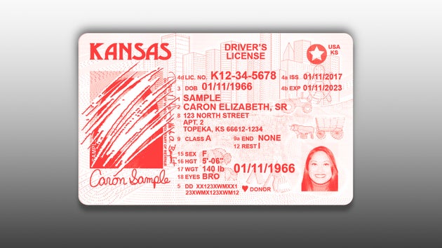Red state residents in chaos after lawmakers yank their driver's ...