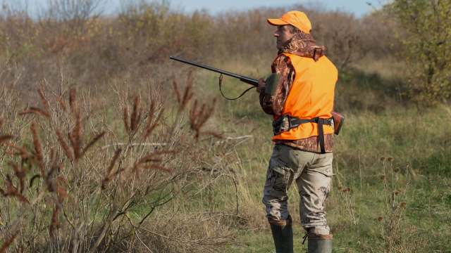 Officials make history with strict, nationwide ban on hunting — here's ...