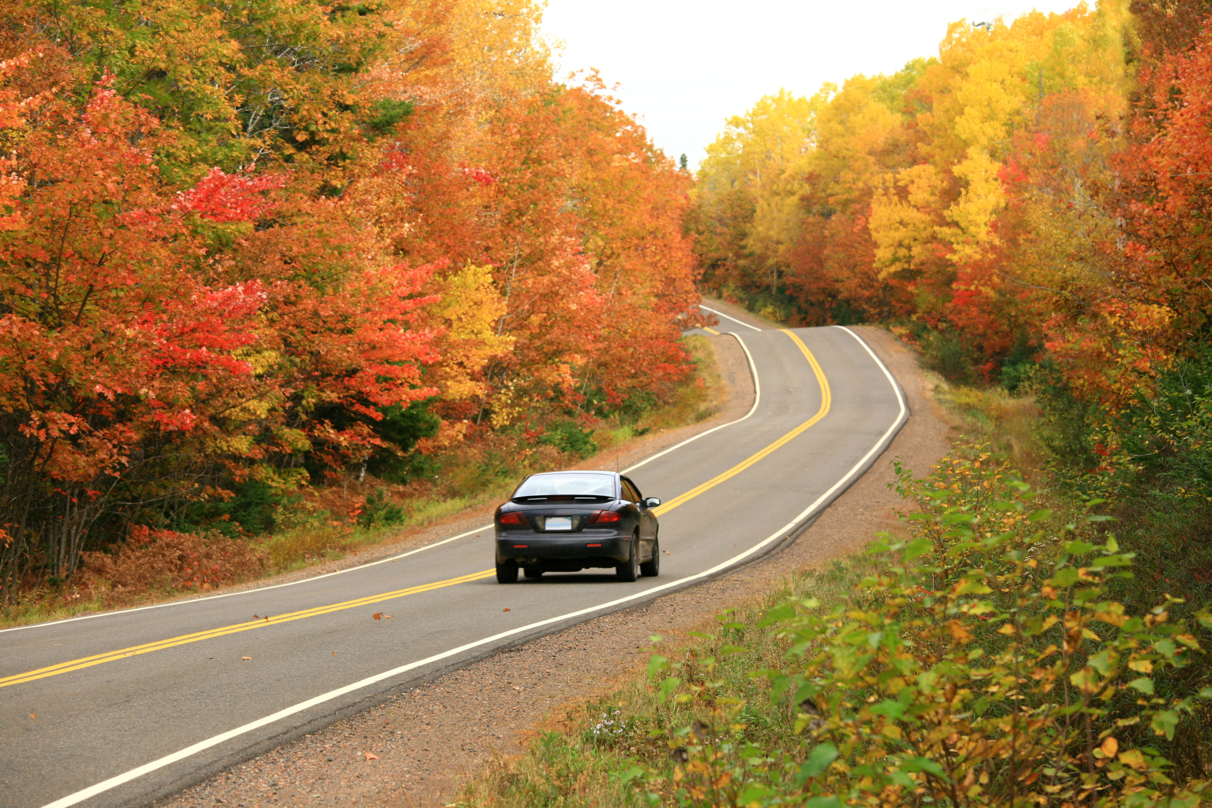 A car drives on a winding rural road surrounded by autumn foliage, illustrating a serene, seasonal journey