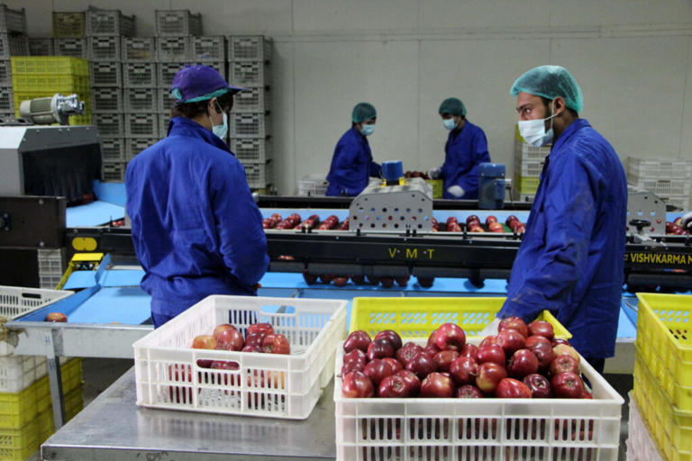 A secco di manodopera, la Russia si affida ai lavoratori dell’Asia ...