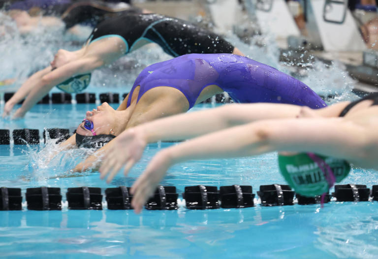 A look at the All-Stark County, All-Federal League swimming/diving teams