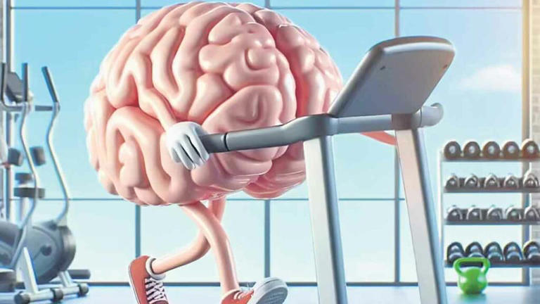 మెదడు ఆరోగ్యం మెరుగుపరచండి