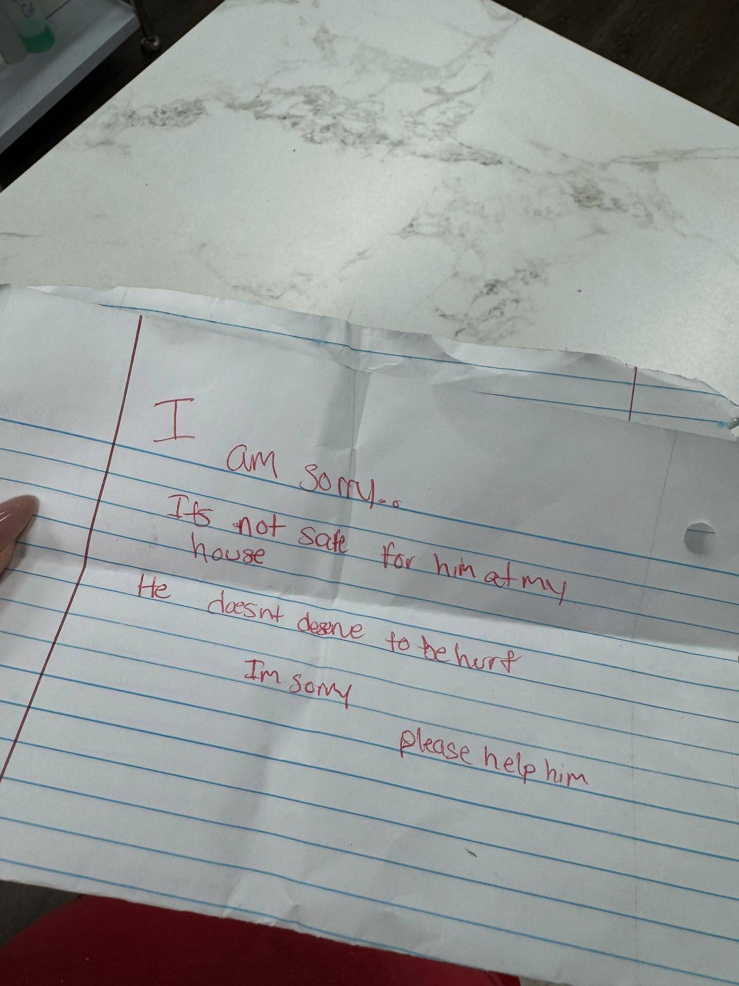 Shelter staff discover an abandoned carrier and a note they’ll never forget